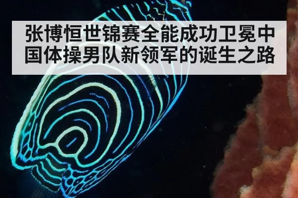 张博恒世锦赛全能成功卫冕中国体操男队新领军的诞生之路