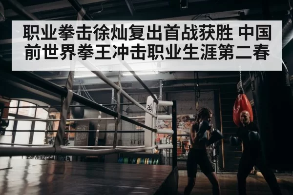 boxer training gym